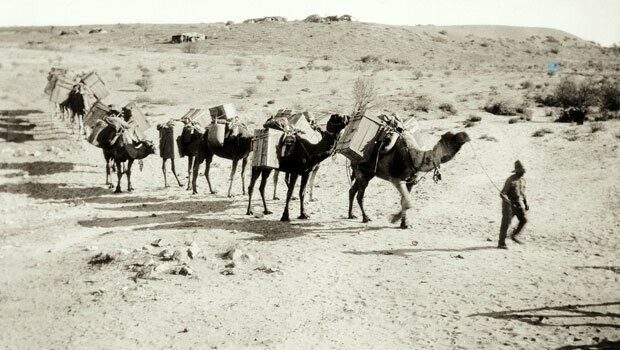 ANALYSIS EDITORIALS FEATURES CITIZENS' VOICE CLIMATE CRISIS VIDEOS FACT-CHECK Tracing The Identities Of Baloch Cameleers In Australia