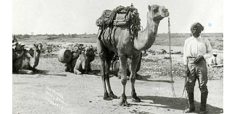 In 1884, Balochs hand-built a mosque in Hergot Springs (Maree, South Australia), which is one of the earliest mosques on Australian soil. 